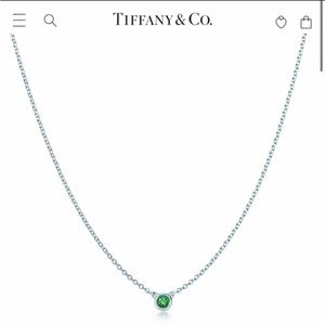 Tiffany & Co.  Elsa Peretti®
Color by the Yard Pendant